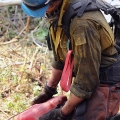 A member of the UAF Nanooks Wildland Fire Crew refuels a chainsaw on the west flank of the Malaspina Fire on Monday, July 8, 2019.