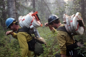 Two smokejumpers carry roles of hose and other supplies to construct containment lines on the Malaspina Fire on Sunday, July 7, 2019. Photo by Mike McMillan/Alaska Division of Forestry