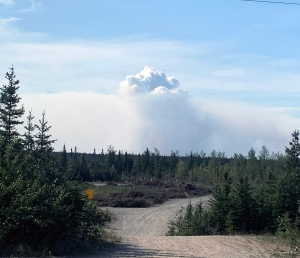 A smoke column from the Rainbow 2 Fire northwest of Delta Junction as seen Monday, July 22, 2019 from Delta Junction. Photo by Mike Goyette/Alaska Division of Forestry