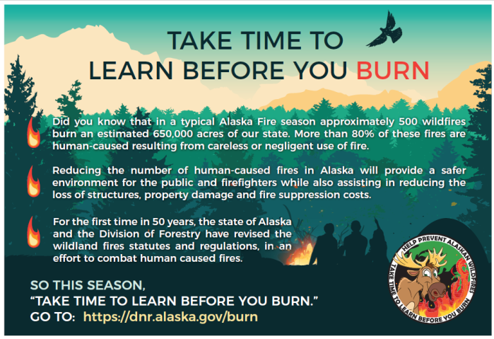 Take Time to Learn Before You Burn
