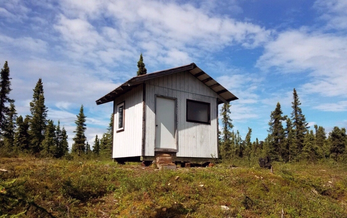 A shelter cabin with brush and trees cleared around it.