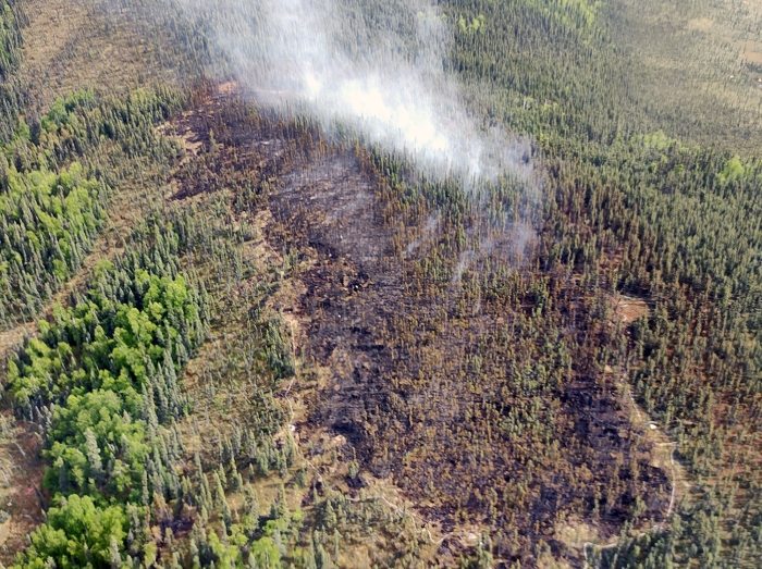 An aerial photo of the Salcha River Fire (#169) taken at around 3 p.m. on Thursday. If you look closely you can see the hose lay around the fire in the bottom right corner. Matt Nunnelly/Division of Forestry