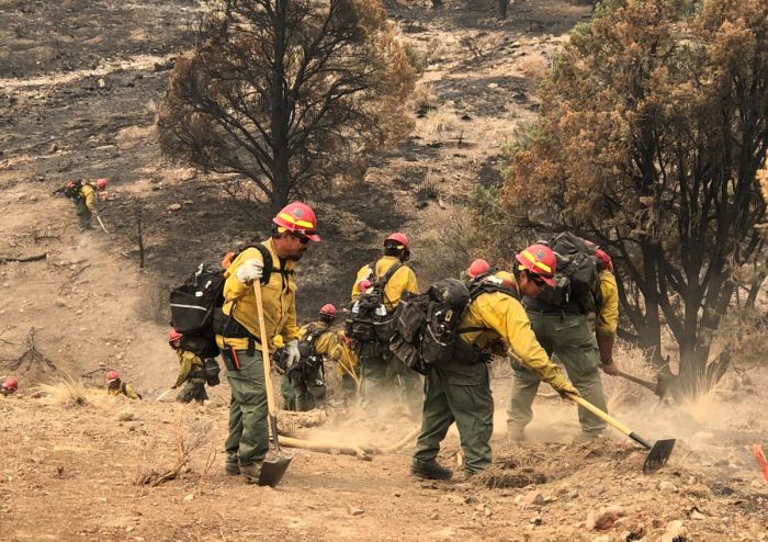 Male yellow-clad firefighters digging in the dirt on a burned hillside.