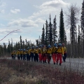 A line of firefighters walking down a gravel road cutting through a firest.