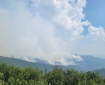 Photo of smoke from the Central Creek Fire taken on July 7, 2022. Smoke is rising from the mountains into a blue sky. Green vegetation is in the foreground.