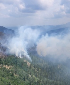 Photo taken on July 10 of the Troublesome Fire, from a helicopter. Unburned spruce are in the bottom of the photo with two main billows of smoke puffing up vertically. Towards the back of the photo are distant rolling hills and a cloudy sky.