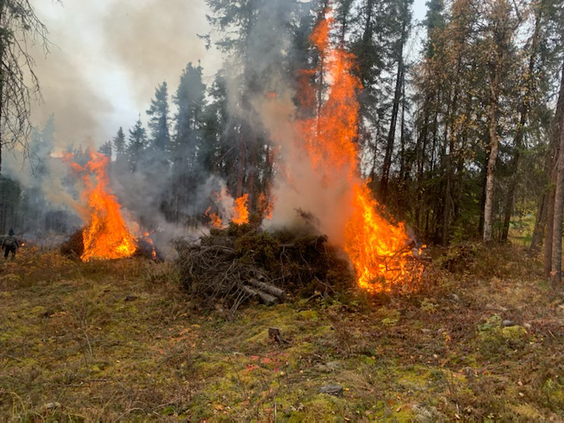 This photograph shows piles of tree slash burning in a cleared forested area.